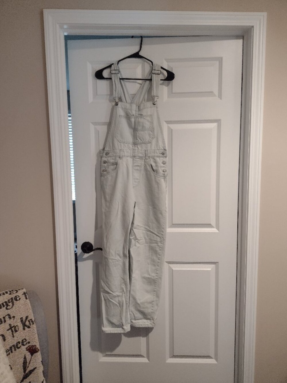 Free People Light Wash Overalls